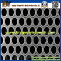 Stainless Steel Perforated Metal for Auto Filters